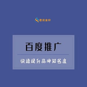 阳谷网站建设设计与网站推广 打造数字化新名片